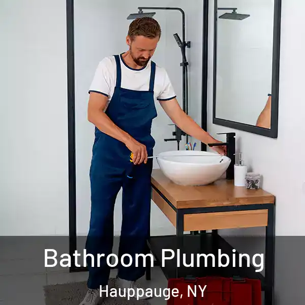  Bathroom Plumbing Hauppauge, NY