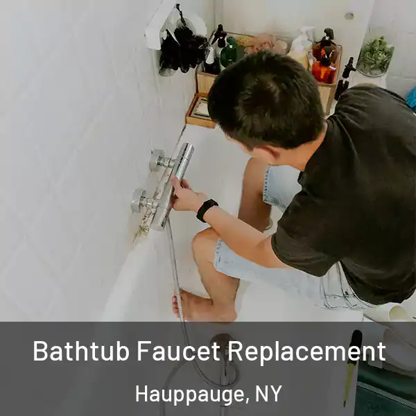  Bathtub Faucet Replacement Hauppauge, NY