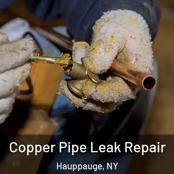  Copper Pipe Leak Repair Hauppauge, NY