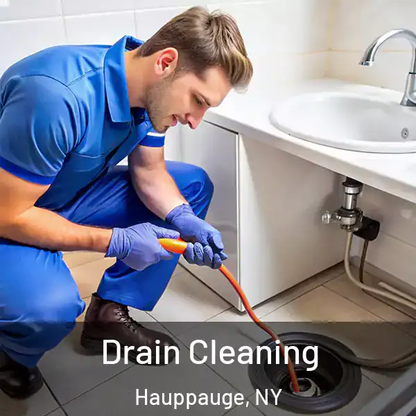 Drain Cleaning Hauppauge, NY