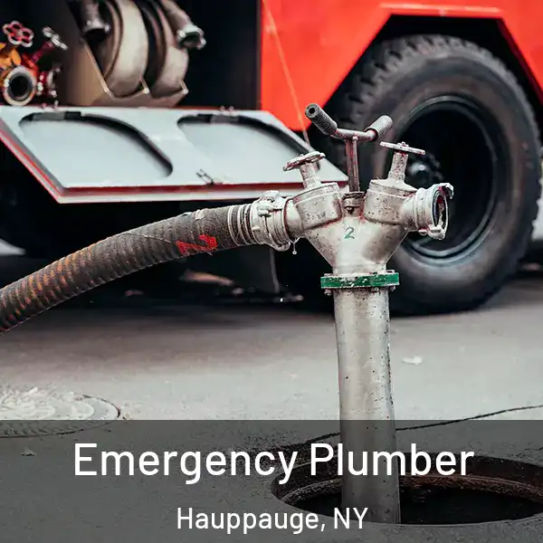  Emergency Plumber Hauppauge, NY
