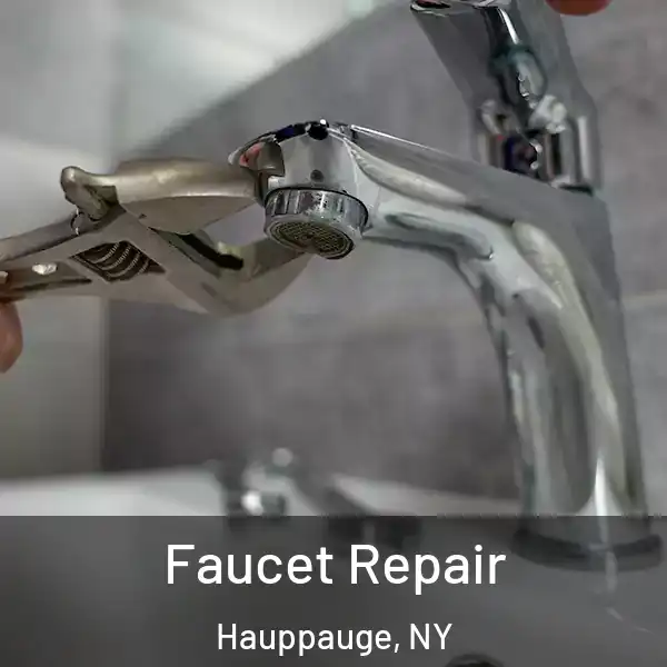  Faucet Repair Hauppauge, NY
