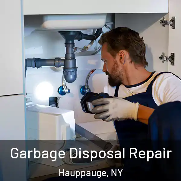  Garbage Disposal Repair Hauppauge, NY