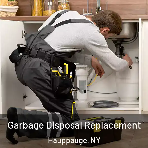  Garbage Disposal Replacement Hauppauge, NY