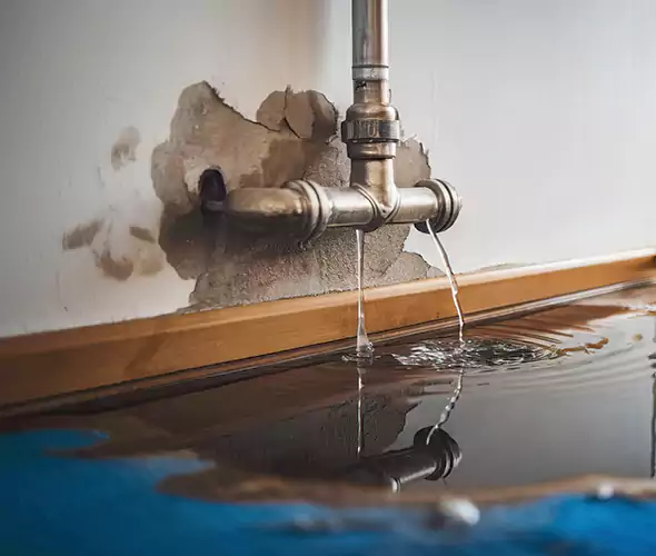 Professional Water Damage Restoration Experts in Hauppauge, NY — Fast, Reliable & Certified