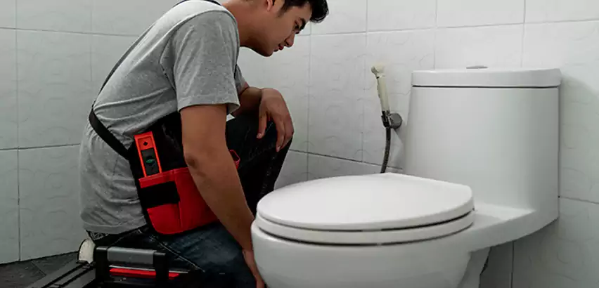 Toilet Repair in Hauppauge