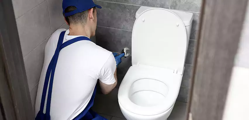 Toilet Lid Replacement in Hauppauge