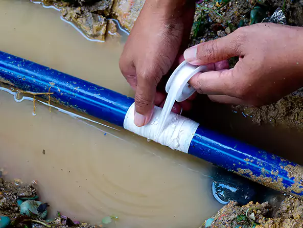 Why Choose Hauppauge Plumbing Pro for Leak Detection in Hauppauge, NY?]