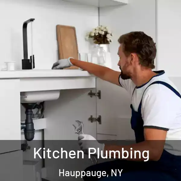  Kitchen Plumbing Hauppauge, NY