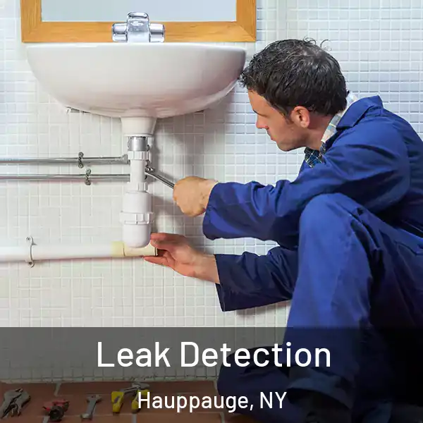  Leak Detection Hauppauge, NY