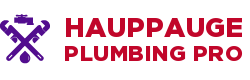 Hauppauge Plumbing Pro