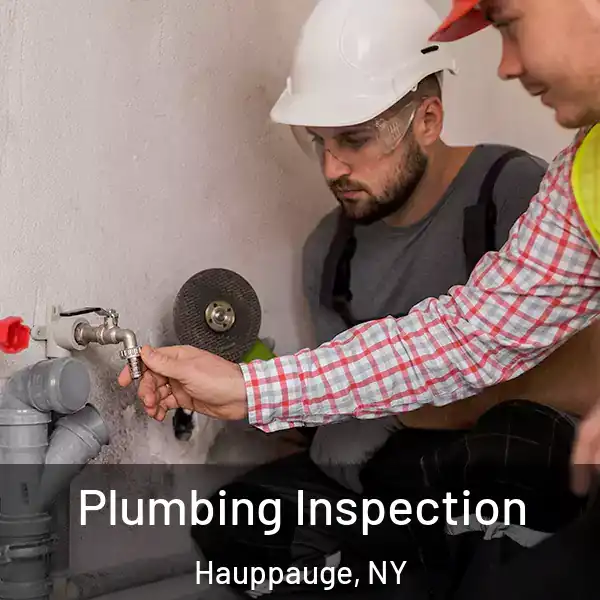  Plumbing Inspection Hauppauge, NY