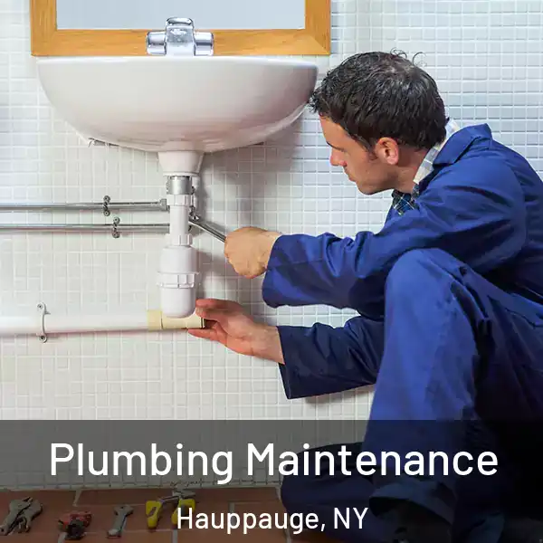 Plumbing Maintenance Hauppauge, NY