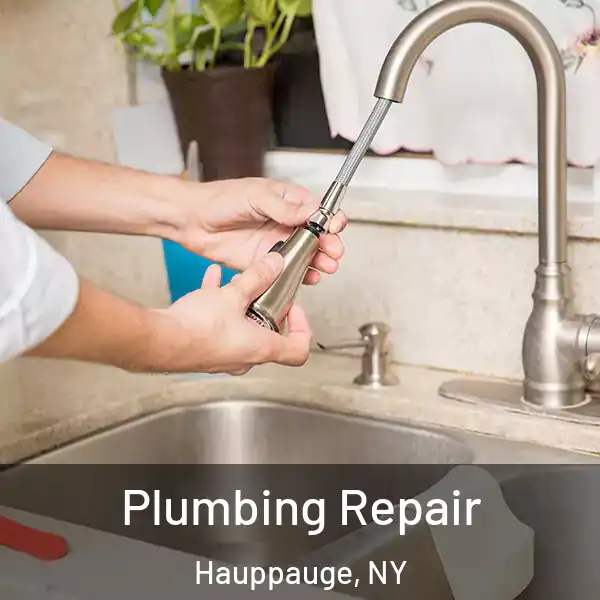  Plumbing Repair Hauppauge, NY