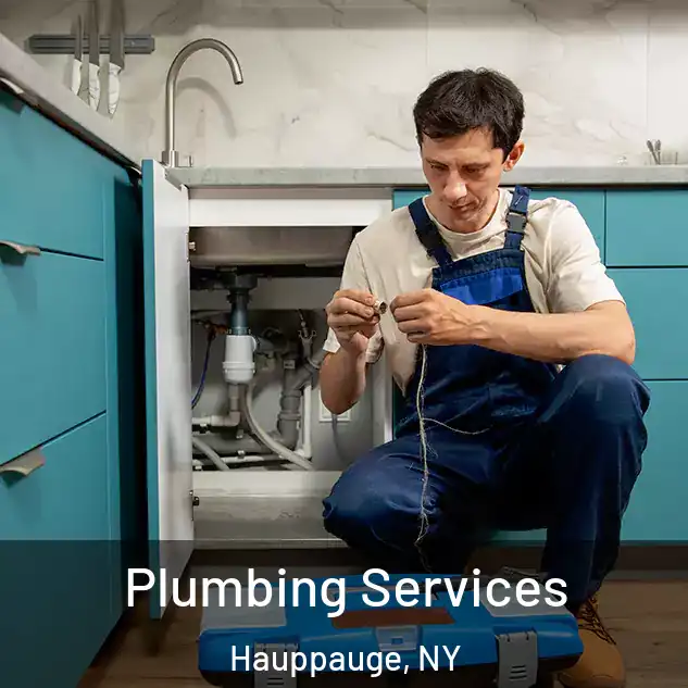  Plumbing Services Hauppauge, NY