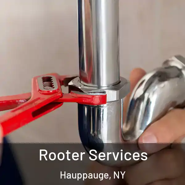  Rooter Services Hauppauge, NY