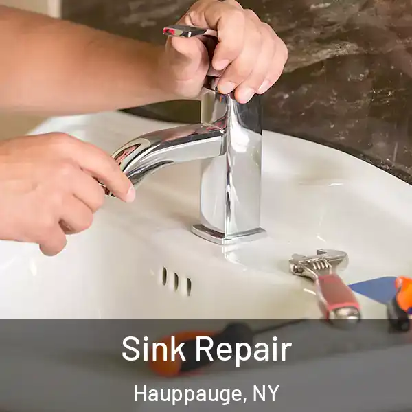  Sink Repair Hauppauge, NY