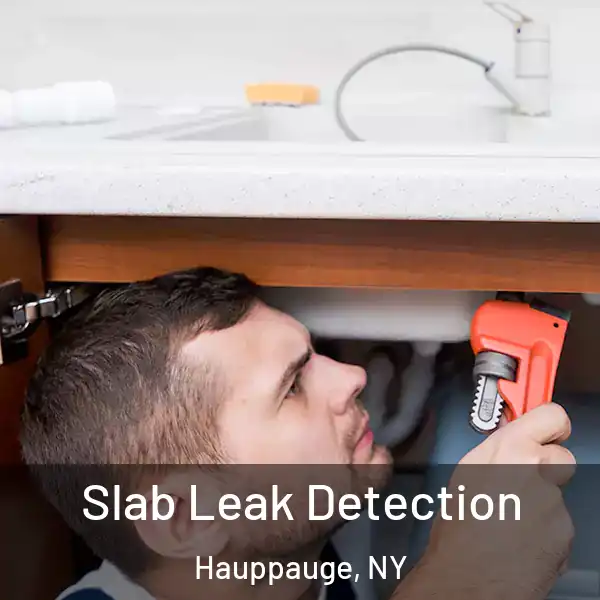  Slab Leak Detection Hauppauge, NY