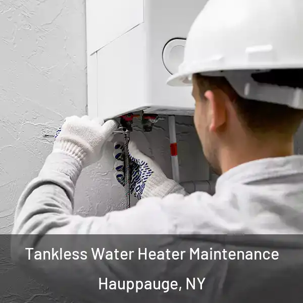  Tankless Water Heater Maintenance Hauppauge, NY