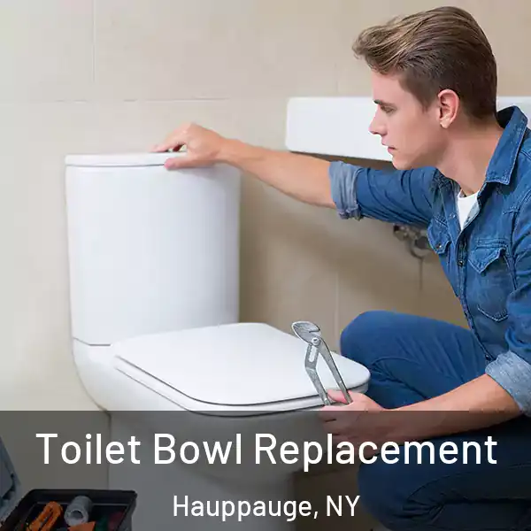  Toilet Bowl Replacement Hauppauge, NY