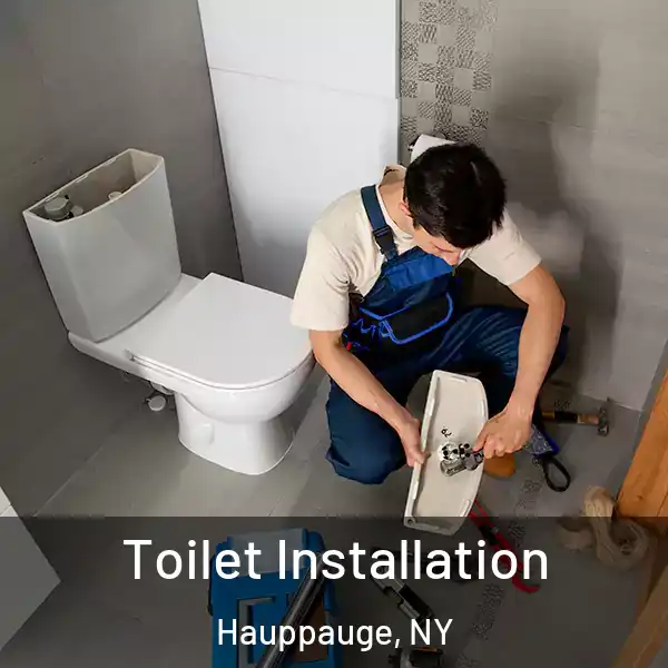  Toilet Installation Hauppauge, NY