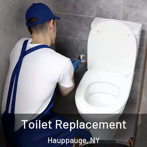  Toilet Replacement Hauppauge, NY