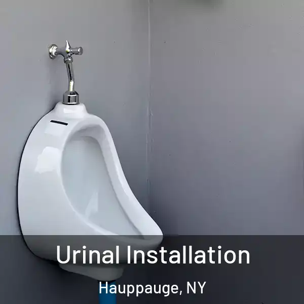  Urinal Installation Hauppauge, NY