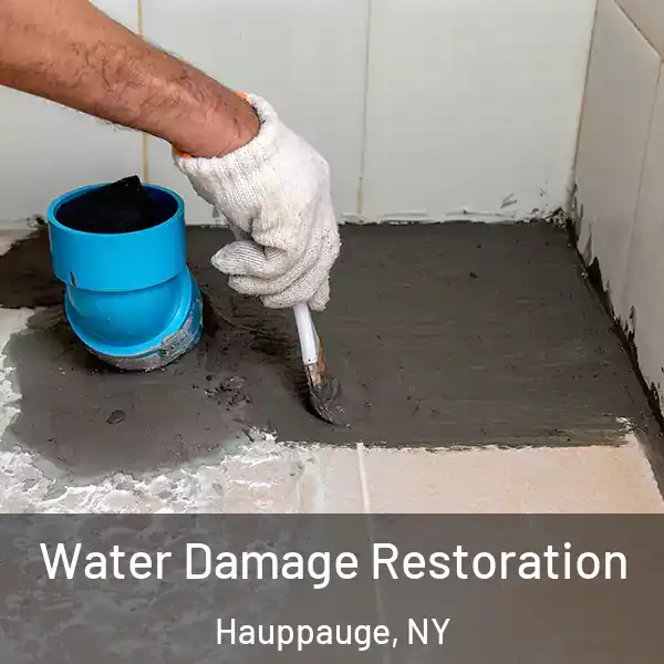  Water Damage Restoration Hauppauge, NY