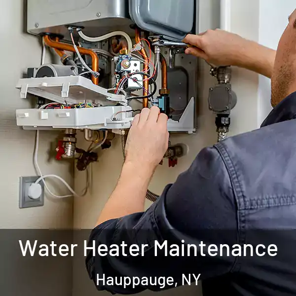  Water Heater Maintenance Hauppauge, NY